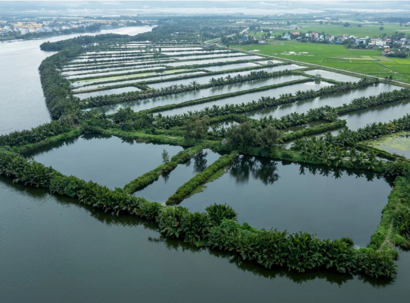 690x690 udržitelné